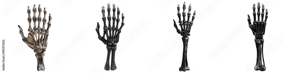 Futuristic robotic skeleton hand digital science fiction surreal concept of advanced limb technology machine learning and future human enhancements Futuristic robotic skeleton hand digital science fiction surreal concept of advanced limb technology machine learning and future human enhancements