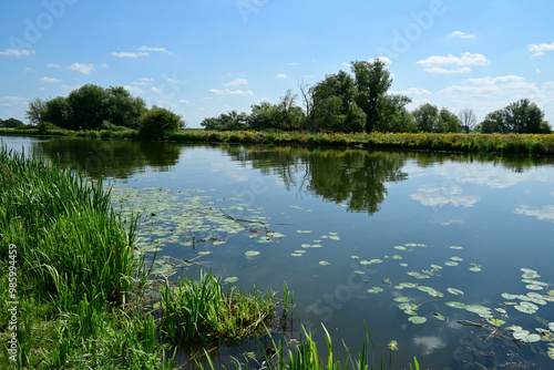 Reflections, River Great Ouse, Ely, Cambridgeshire, England