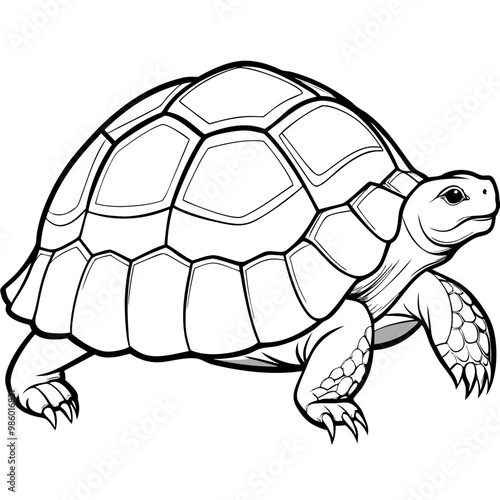 Smoothly Curved Tortoise  A Line Art Vector Emphasizing Steadiness