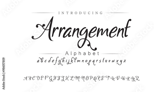 Elegant Script Font