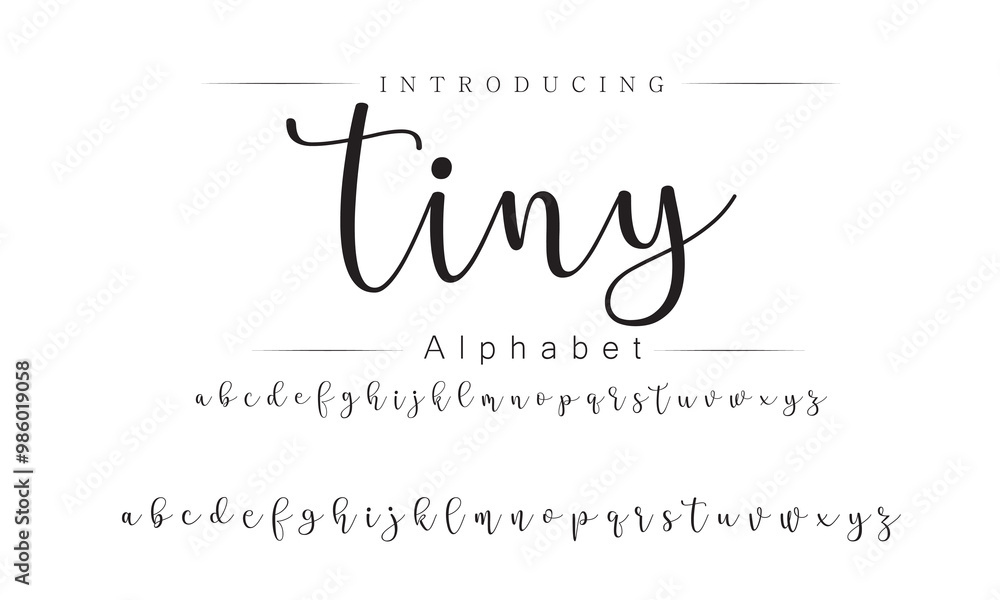 Dynamic Sans Serif Font for Branding Dynamic Sans Serif Font for Branding