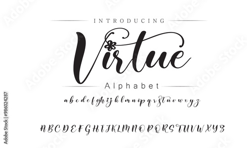 Elegant Modern Script Typeface