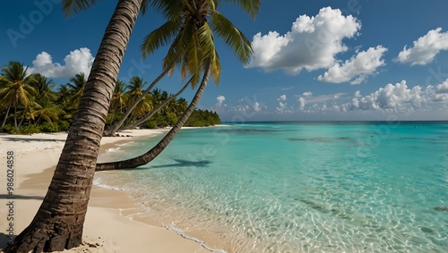 Pristine turquoise waters lapping at a tropical beach framed by palm trees.