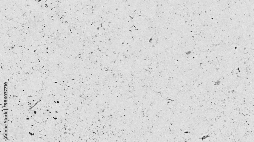 Old Film Effect, with Stains, Dust, Grit, Dirt, White background Old Film Effect, with Stains, Dust, Grit, Dirt, White background