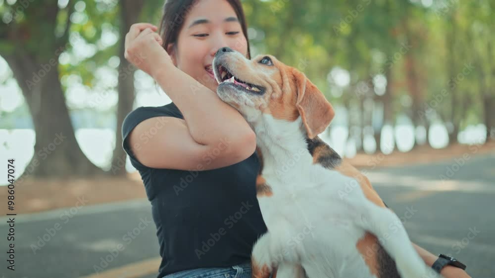 custom made wallpaper toronto digitalHappy asian woman playing with dog together in public park outdoors, Friendship between human and their pet