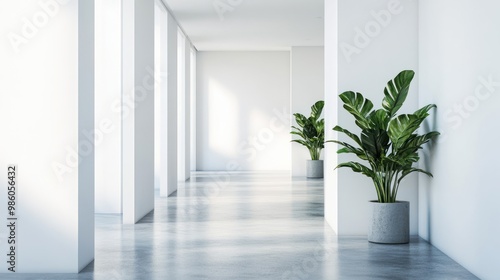 A modern and minimalist hallway with white walls and grey floors, with a green plant in a grey pot.