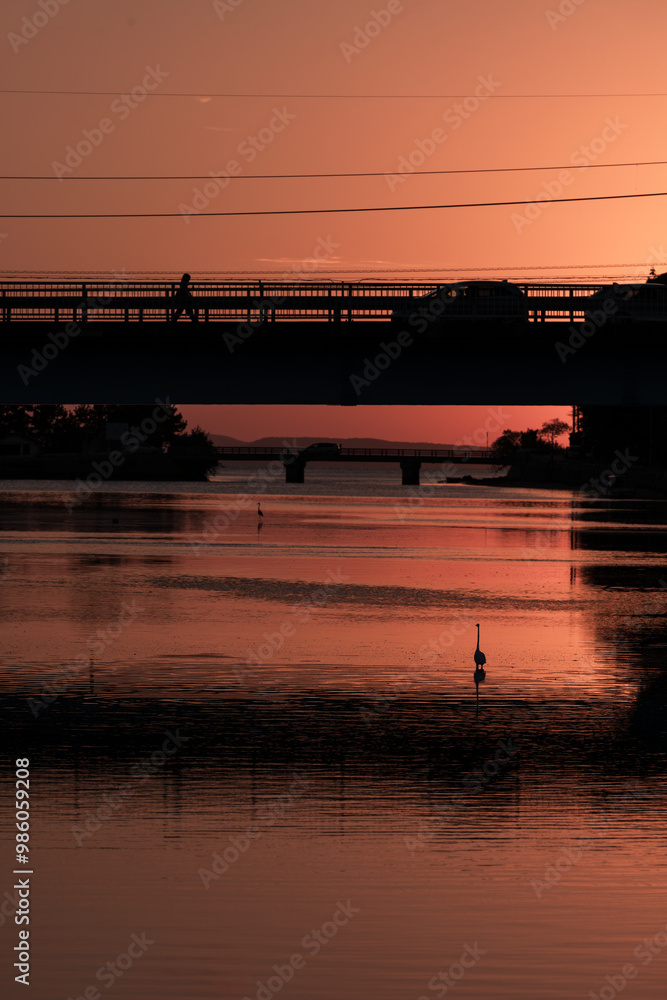 Fototapeta premium 夕焼け