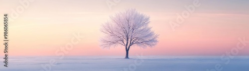 A serene winter landscape featuring a solitary tree against a pastel sky, evoking calmness and tranquility in nature.