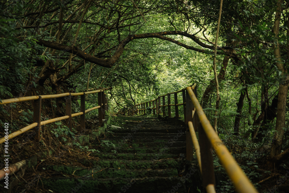 Green park area in India. Tropical forest Green park area in India. Tropical forest
