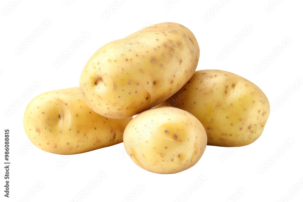 A cluster of freshly harvested golden potatoes showcases their smooth skin and earthy texture, ideal for cooking and baking in diverse recipes. A cluster of freshly harvested golden potatoes showcases their smooth skin and earthy texture, ideal for cooking and baking in diverse recipes.