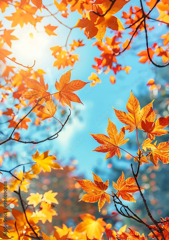 Autumn Leaves Against Blue Sky Autumn Leaves Against Blue Sky