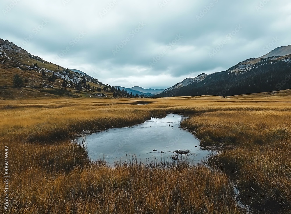 Mountain Meadow with Winding Creek and Overcast Sky Mountain Meadow with Winding Creek and Overcast Sky