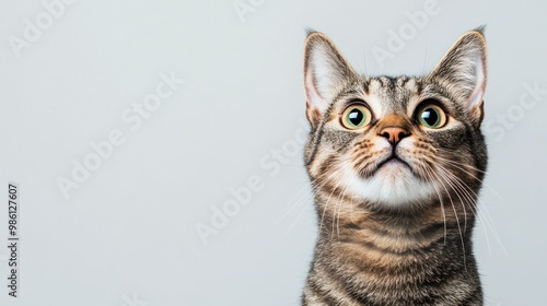 Close-up portrait of a tabby cat with green eyes looking up against a gray background.