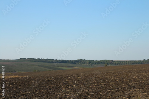 A field with a large field of crops and a blue sky with clouds