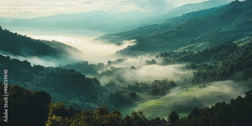 valley filled with morning mist  photo