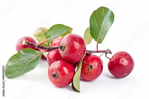 A fresh mayhaw isolated on white