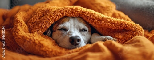 A cozy dog snuggles in an orange blanket, showcasing comfort and relaxation. photo