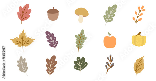 autumn fall season vector leaf mushroom acorn seed icon