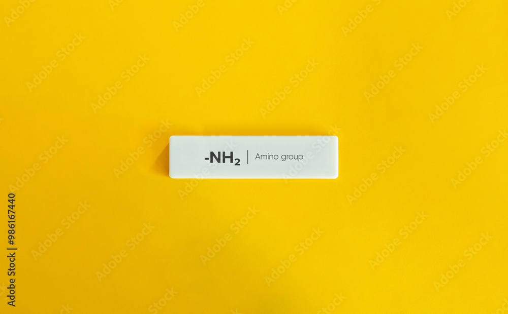 Amino group, -NH₂. Important Functional Group in Organic Chemistry.