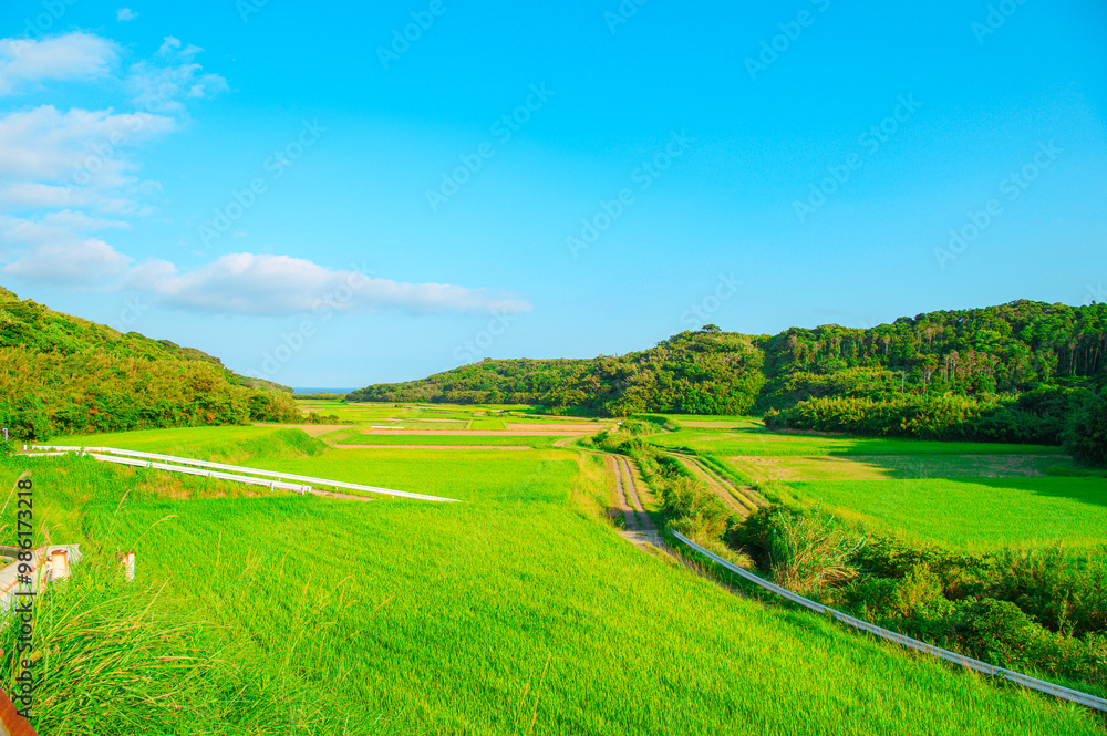 Fototapeta premium 鹿児島 種子島の風景