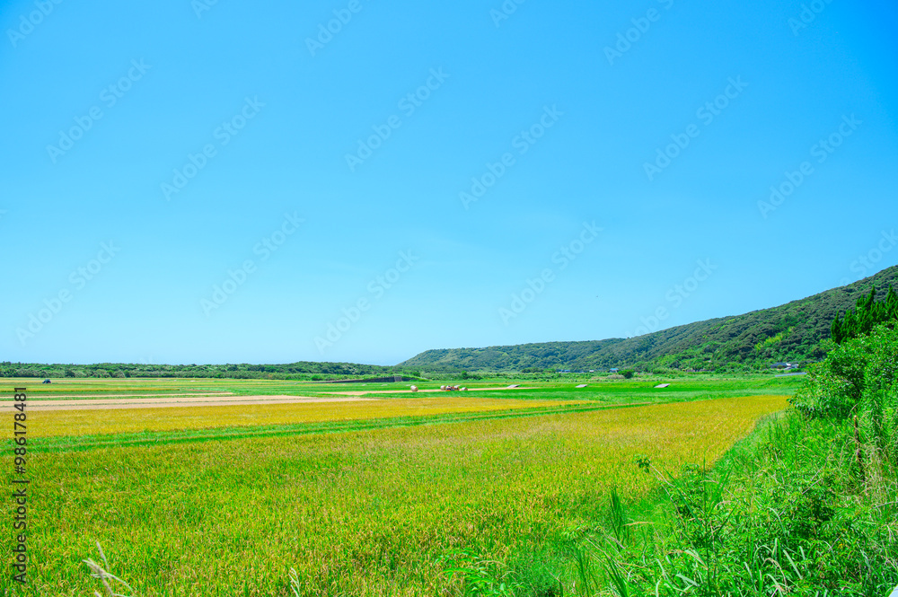 Fototapeta premium 鹿児島 種子島の風景