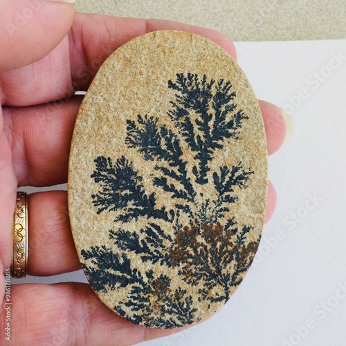 Photography Oval psilomelane dendrite fossil