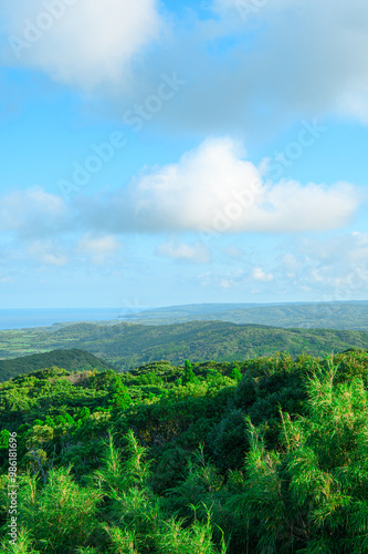 Wallpaper Mural 鹿児島 種子島の風景 Torontodigital.ca