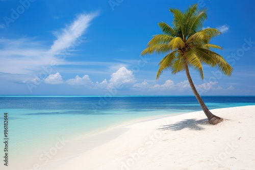 A serene Maldivian beach scene, with soft white sand, gentle waves lapping at the shore, and a lone palm tree swaying in the breeze, all bathed in the warm glow of the tropical sun