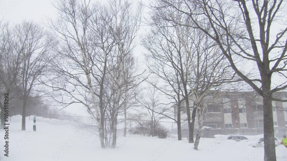 A Blizzard Blasts Through Dartmouth, Canada, Creating Snowdrifts And Covering Wooden Houses In Snow, As The Strong Winds Make For A Harsh Winter Scene. A Blizzard Blasts Through Dartmouth, Canada, Creating Snowdrifts And Covering Wooden Houses In Snow, As The Strong Winds Make For A Harsh Winter Scene.