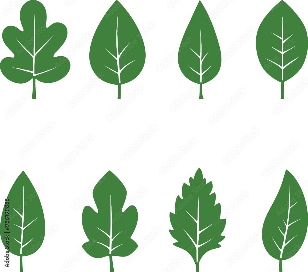 set of green leaves set of green leaves