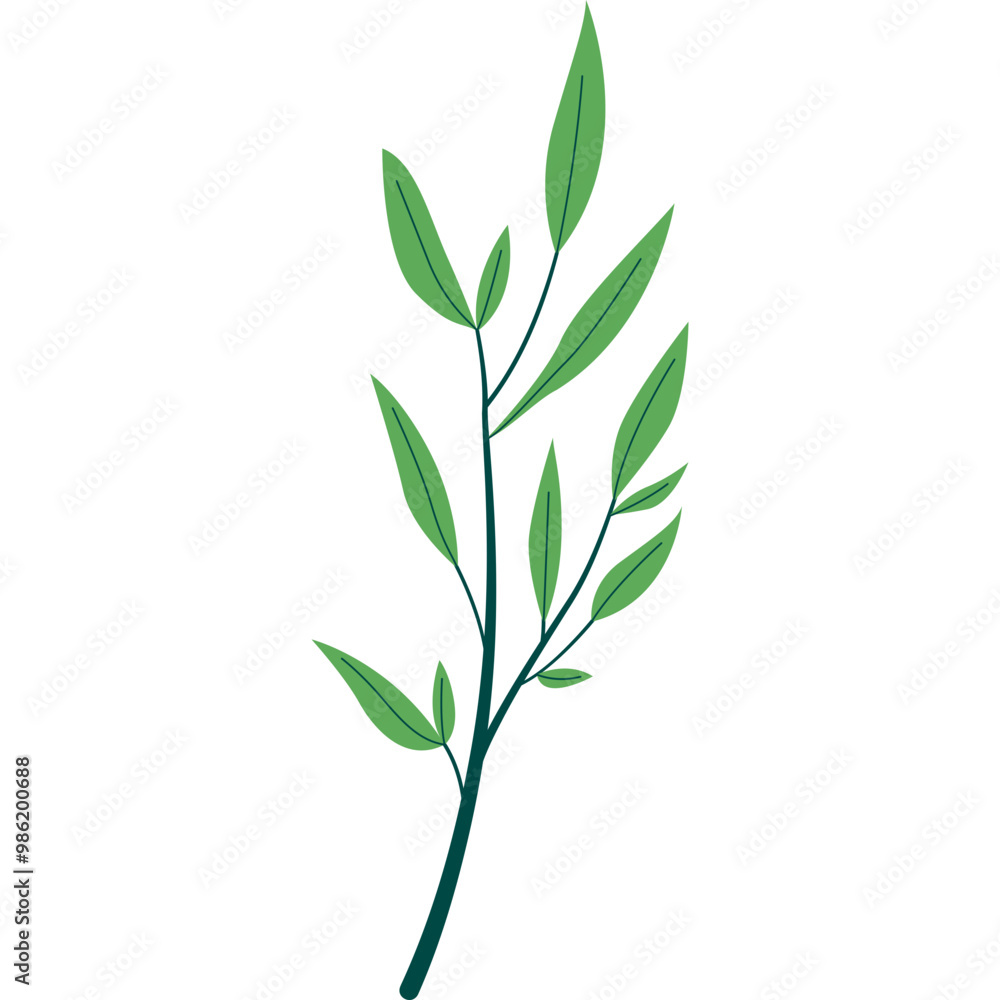 Fototapeta premium Branch with Leaves IIlustration
