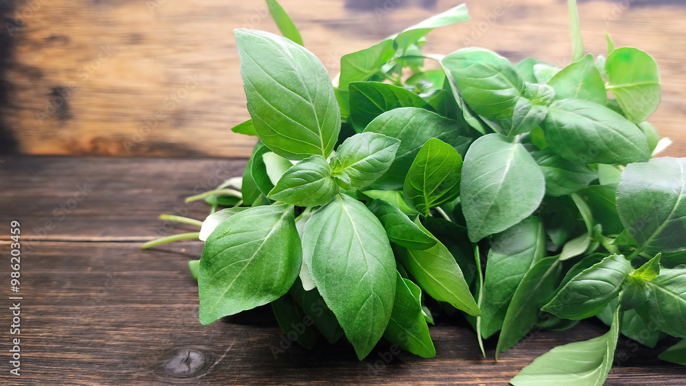 Fresh Basil Leaves on Wooden Surface Fresh Basil Leaves on Wooden Surface