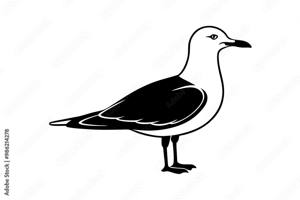 Obraz premium gull silhouette vector