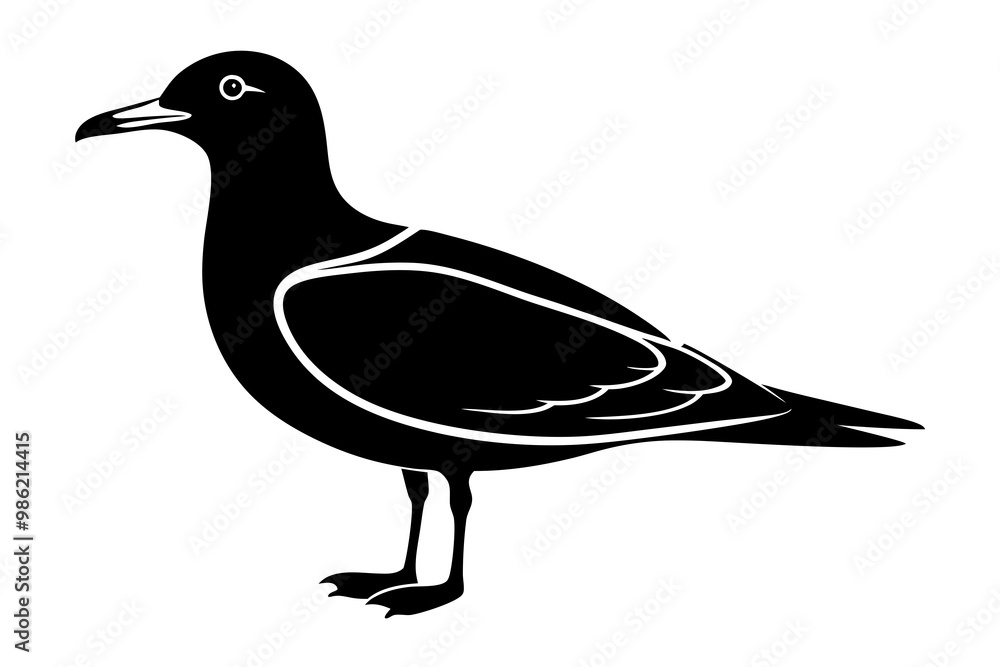Obraz premium gull silhouette vector