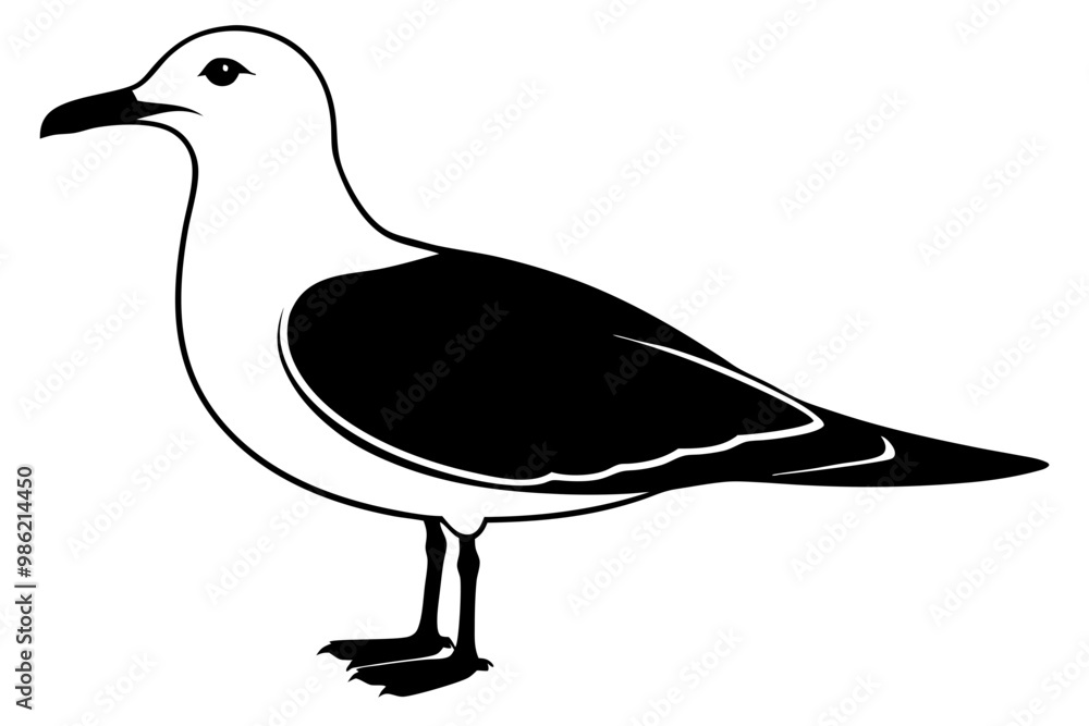 Obraz premium gull silhouette vector