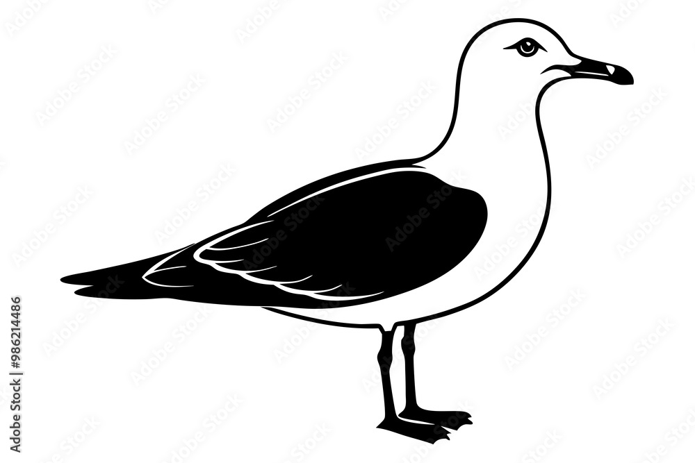 Obraz premium gull silhouette vector