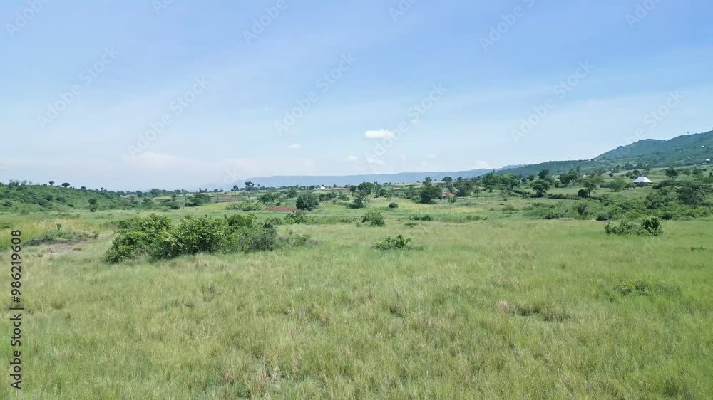 Aerial video showcases natures beauty Jungle of Arusha National Park, Tanzania Aerial video showcases natures beauty Jungle of Arusha National Park, Tanzania