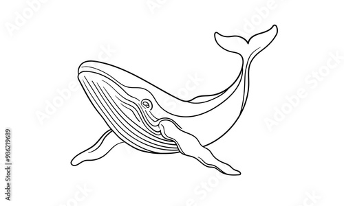 Whale continuous line art drawing isolated on white background. Wildlife animals outline. Vector illustration
