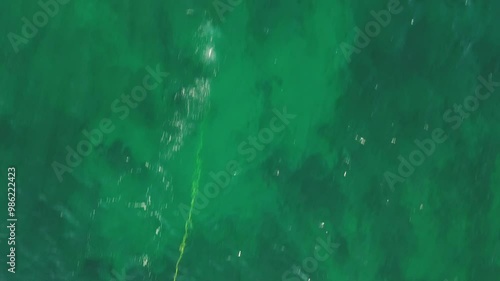 Aerial view, looking straight down from above at a hookah diver under water on calm seas