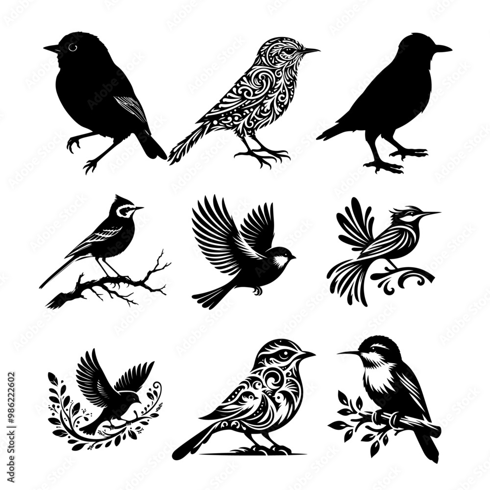 Fototapeta premium Different Types of Birds silhouette vector