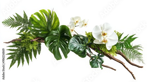 Tropical Oasis: Exquisite Floral Arrangements with Monstera, Ferns, and Vanda Orchids