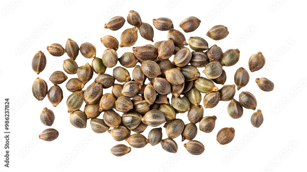 Close-up of hemp seeds on transparent background for organic and natural themes Close-up of hemp seeds on transparent background for organic and natural themes