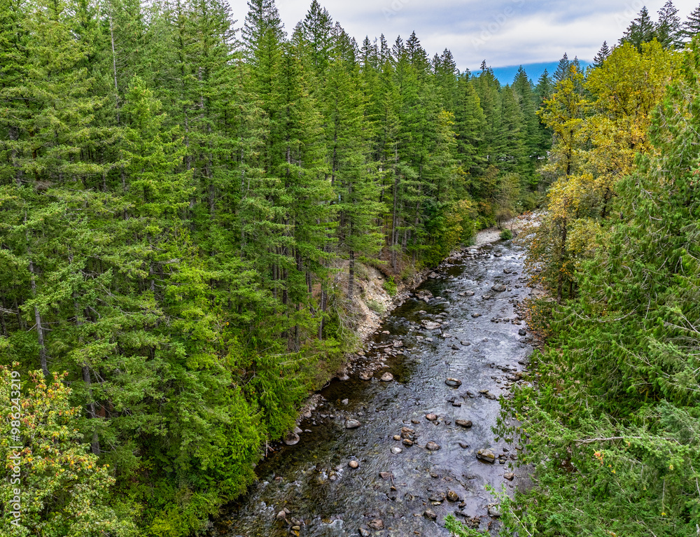 Fototapeta premium Drone North Bend River 9