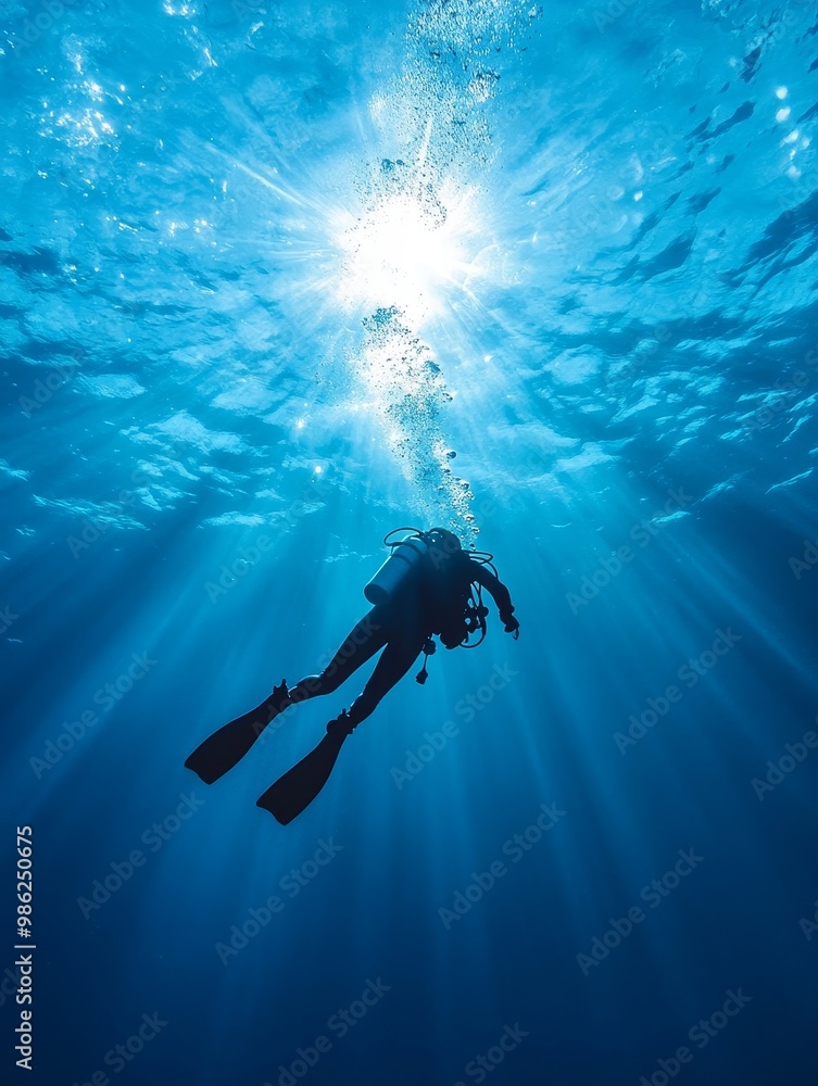 custom made wallpaper toronto digitalDiver exploring the depths of the ocean near coral reefs during bright afternoon sunlight