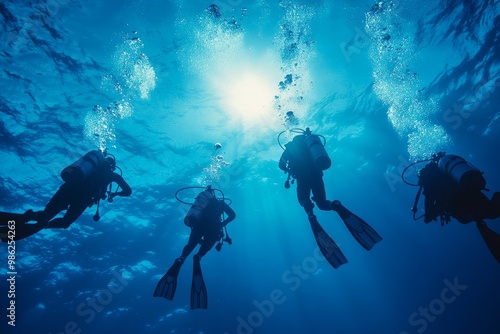 Divers explore a vibrant underwater world in clear blue waters during a sunny day