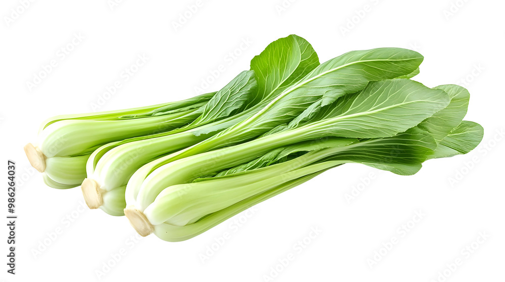 Fresh green Bok Choy or Chinese Cabbage isolated on white transparent background. Fresh green Bok Choy or Chinese Cabbage isolated on white transparent background.