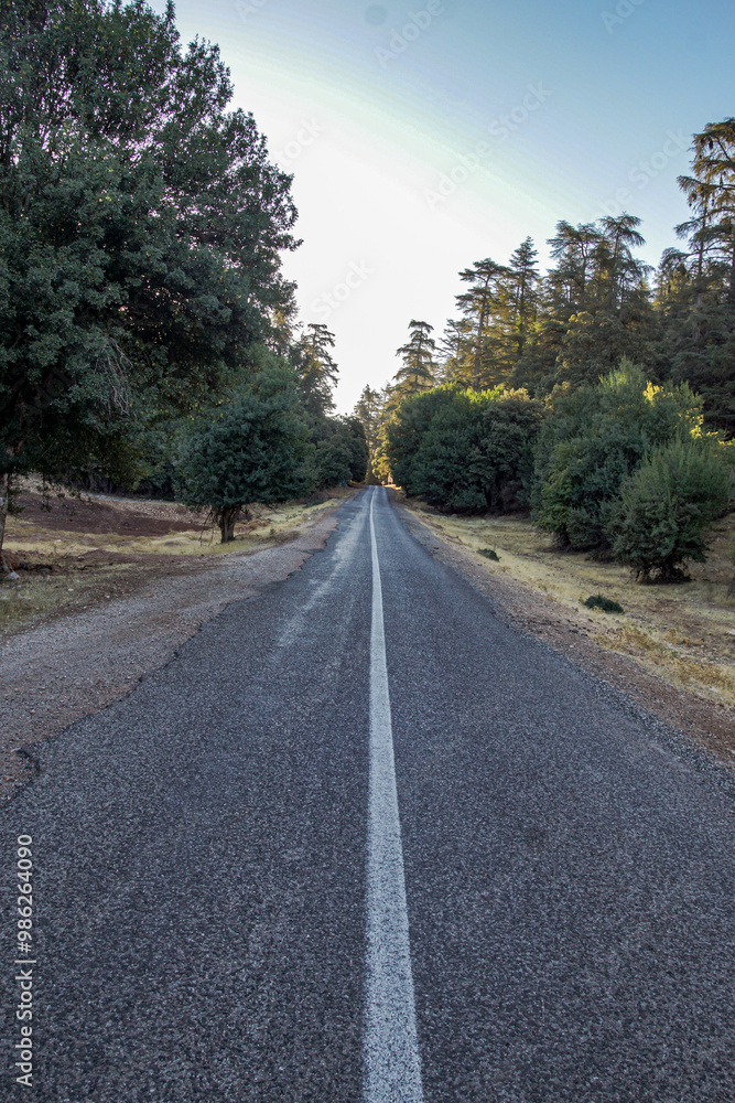 Fototapeta premium paysage