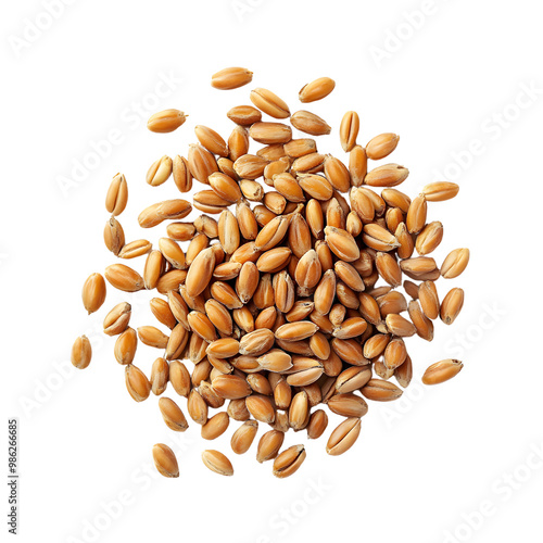 Heap of organic wheat grains on a transparent background