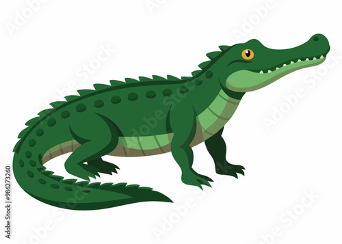 realistic image of crocodile illustration