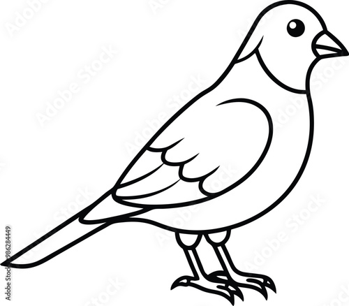 A cute Canary outline vector art illustration design with no background, canary black and white icon and logo for printable, drawing animal of canary bird.